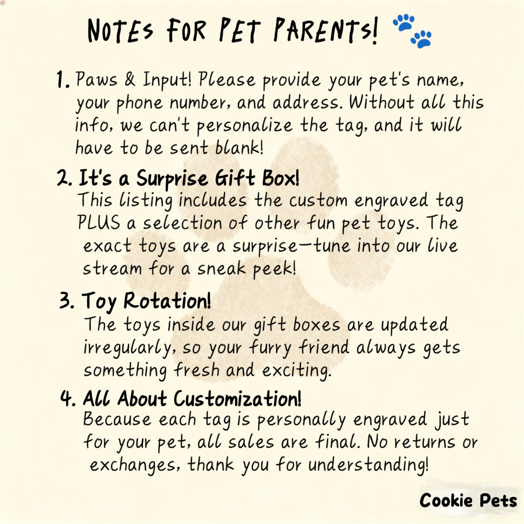 Cat Customized Name Tag and Toys Package