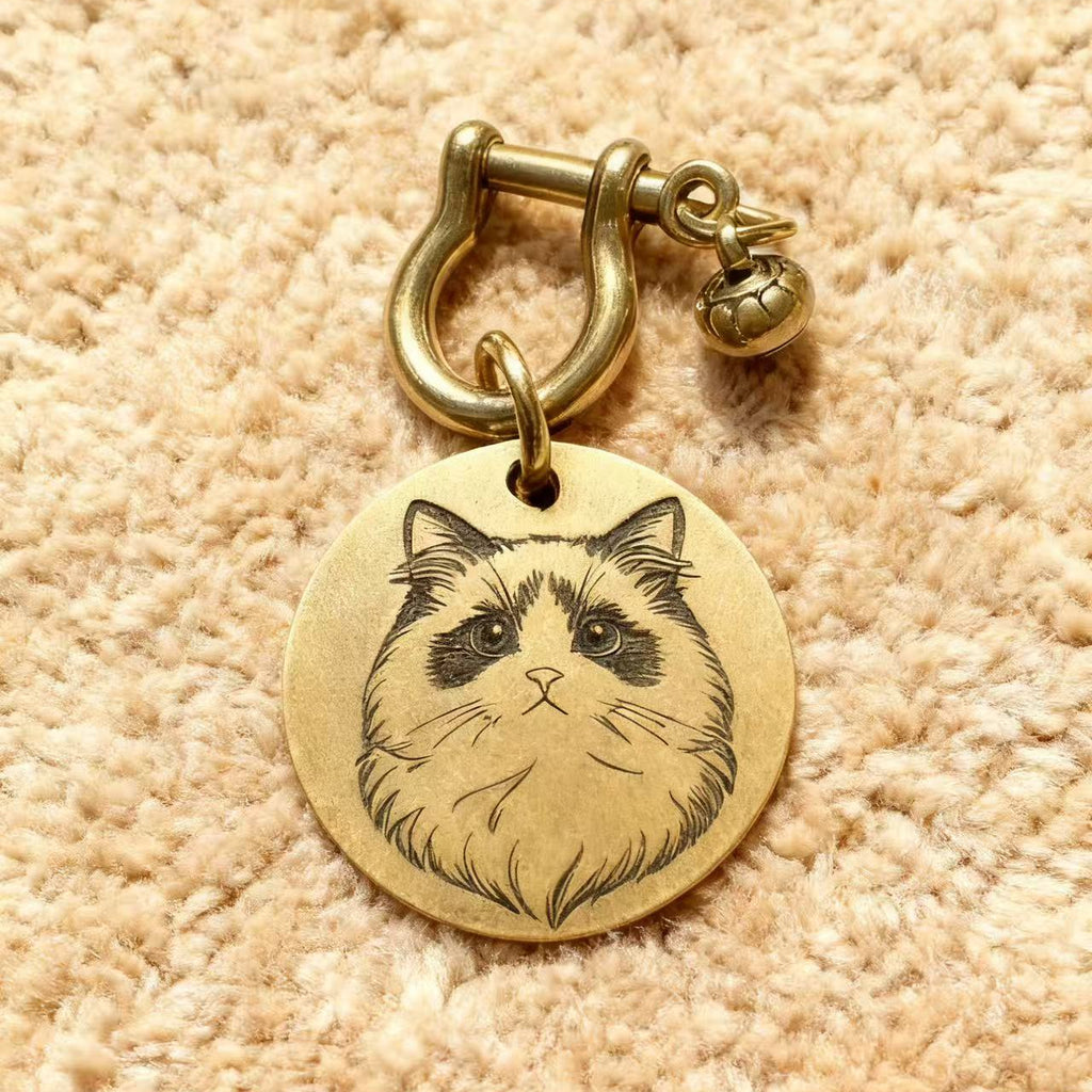 Cat Customized Name Tag and Toys Package