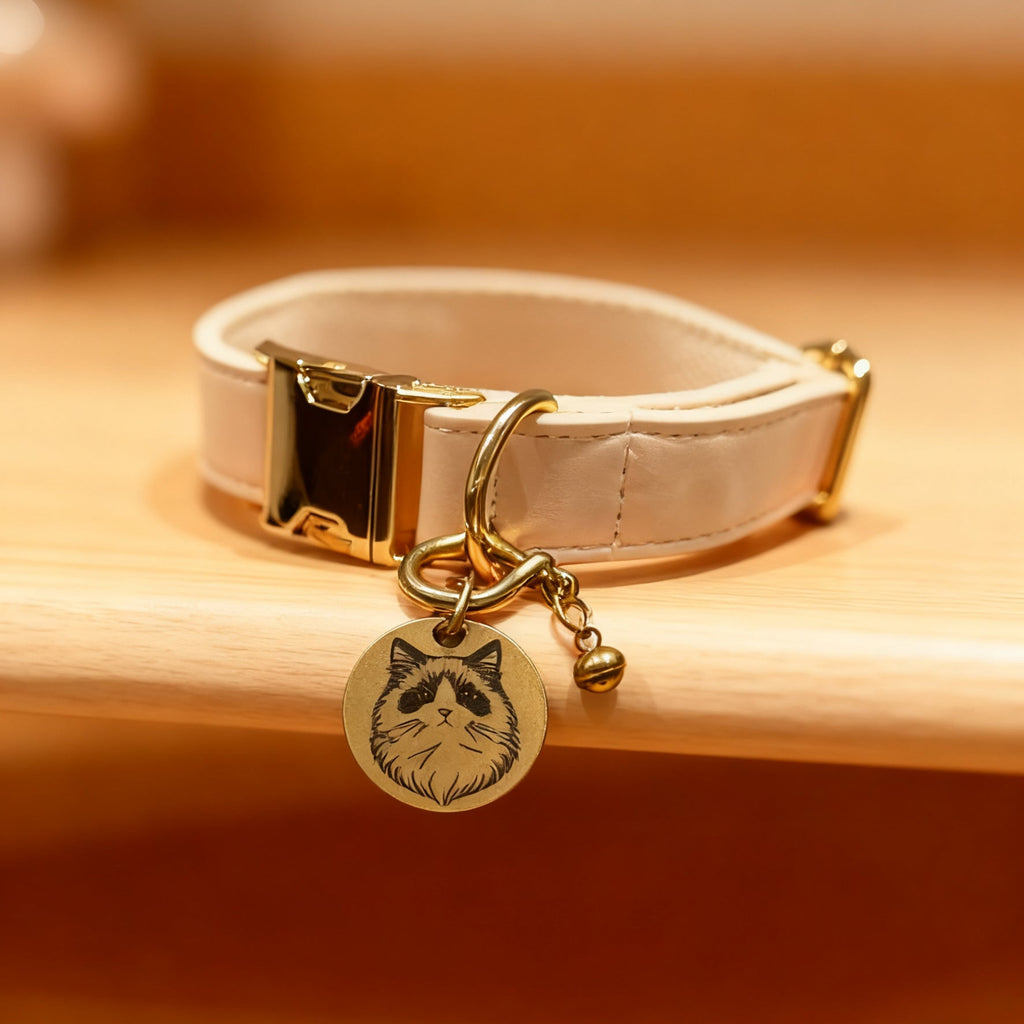 Cat Customized Name Tag and Toys Package