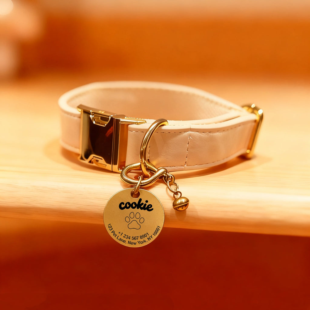 Dog Customized Name Tag and Toys Package