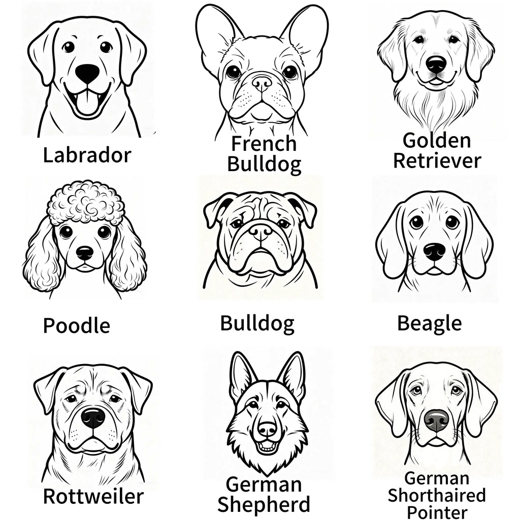 Dog Customized Name Tag and Toys Package