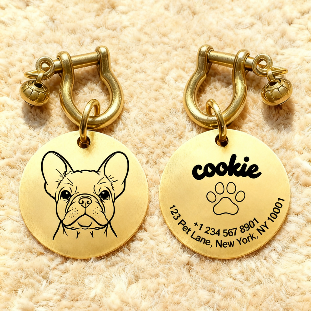 Dog Customized Name Tag and Toys Package